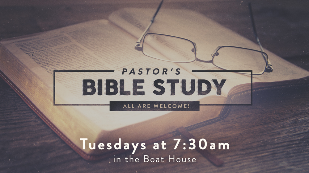 bible study